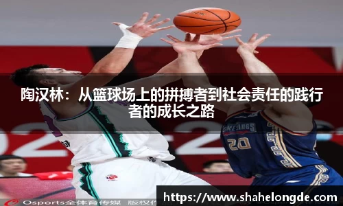 陶汉林：从篮球场上的拼搏者到社会责任的践行者的成长之路