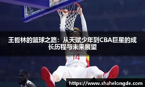 王哲林的篮球之路：从天赋少年到CBA巨星的成长历程与未来展望
