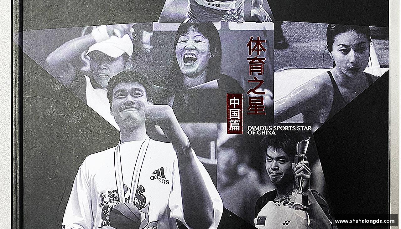 熊猫体育平台热血沸腾，荣耀终归！